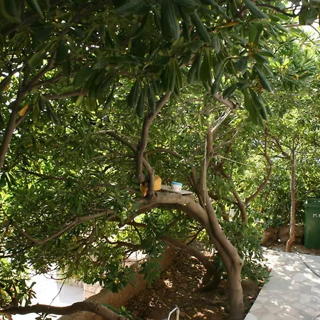 Apartments By The Sea Pag - 6411 Apartment